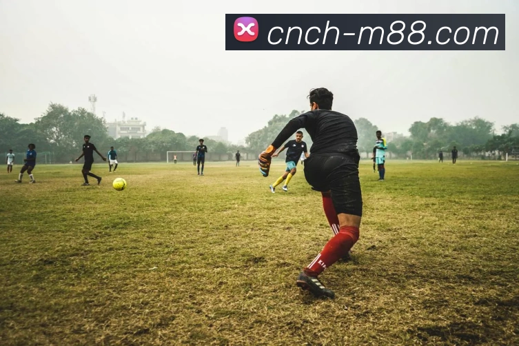 M88官网APP 体育赛事宣传图